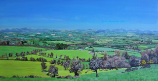Panoramic View From Curraghdermot watermark