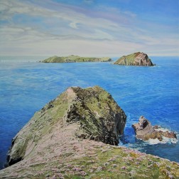 Near the end of the great blasket island watermark