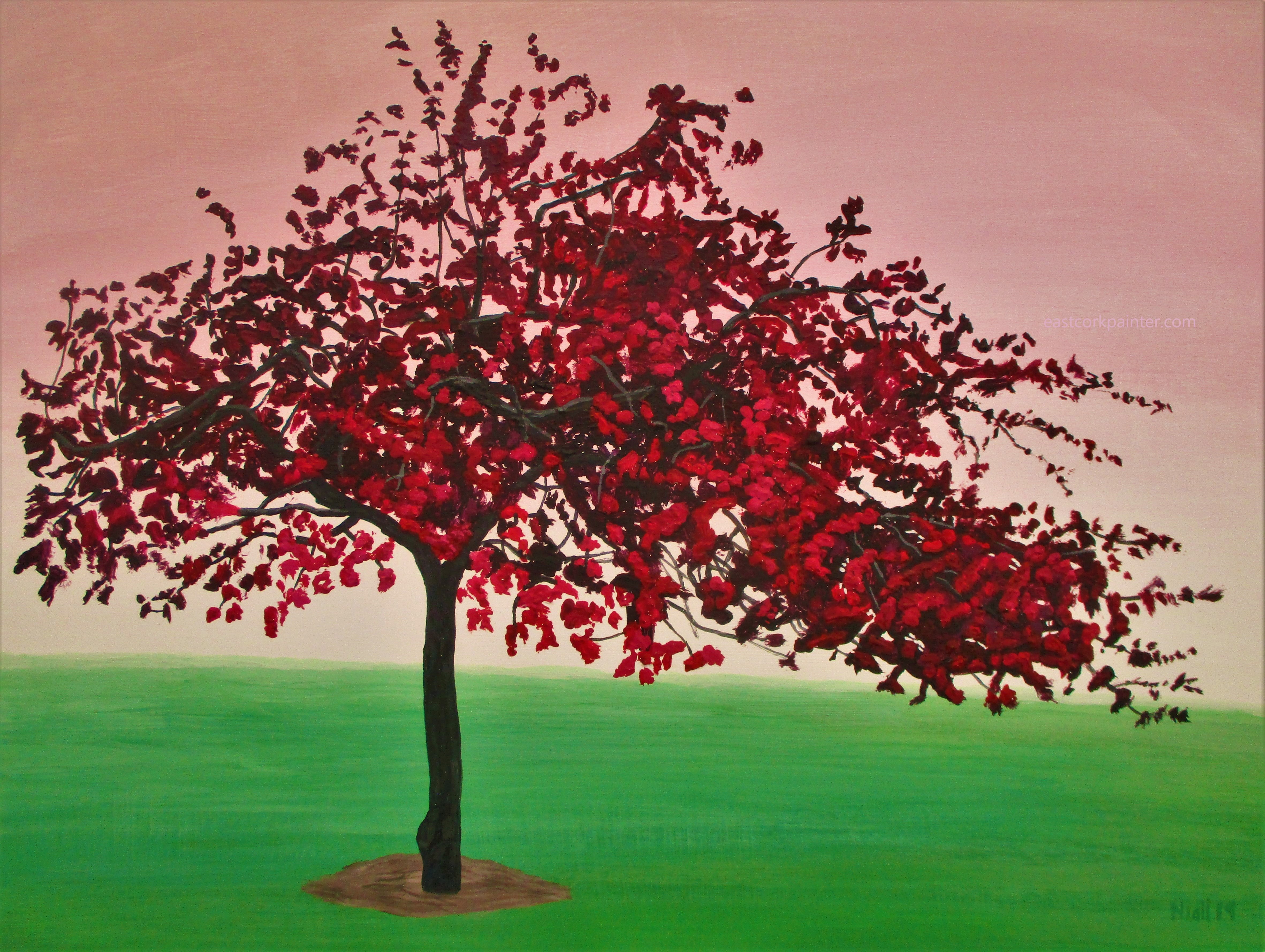 Crimson Blossomed Tree insta